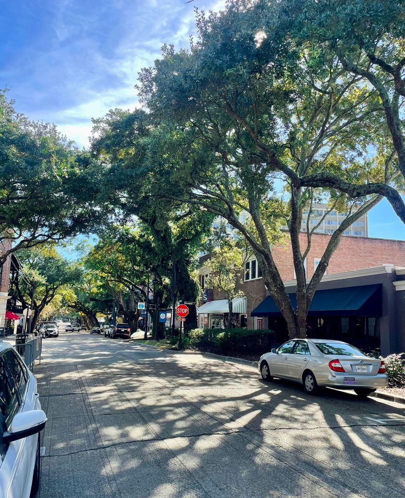 Quanity Shopping Street In Ocean Springs Mississippi