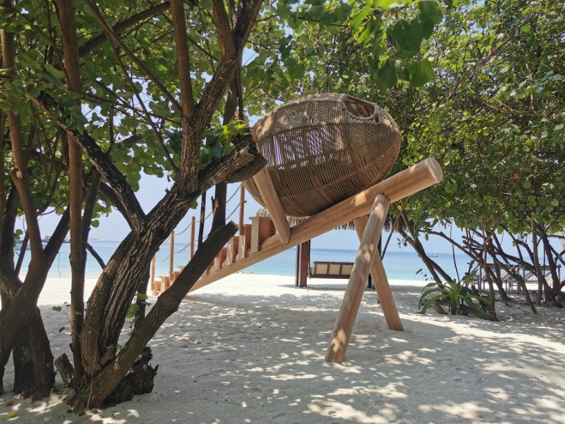 inspired by maldivian seabird’s solitary egg, this installation explores ecological fragility - 3