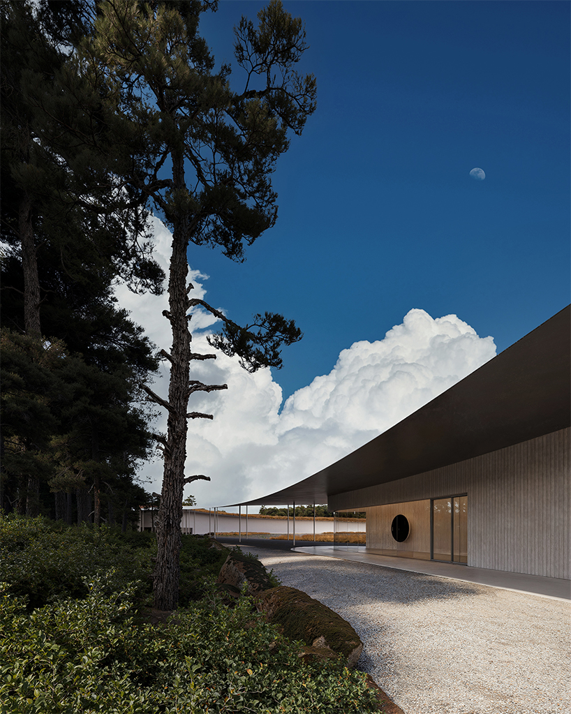 curving along lagoa de pataias, this sculptural museum proposal follows portugal's lakeshore - 2