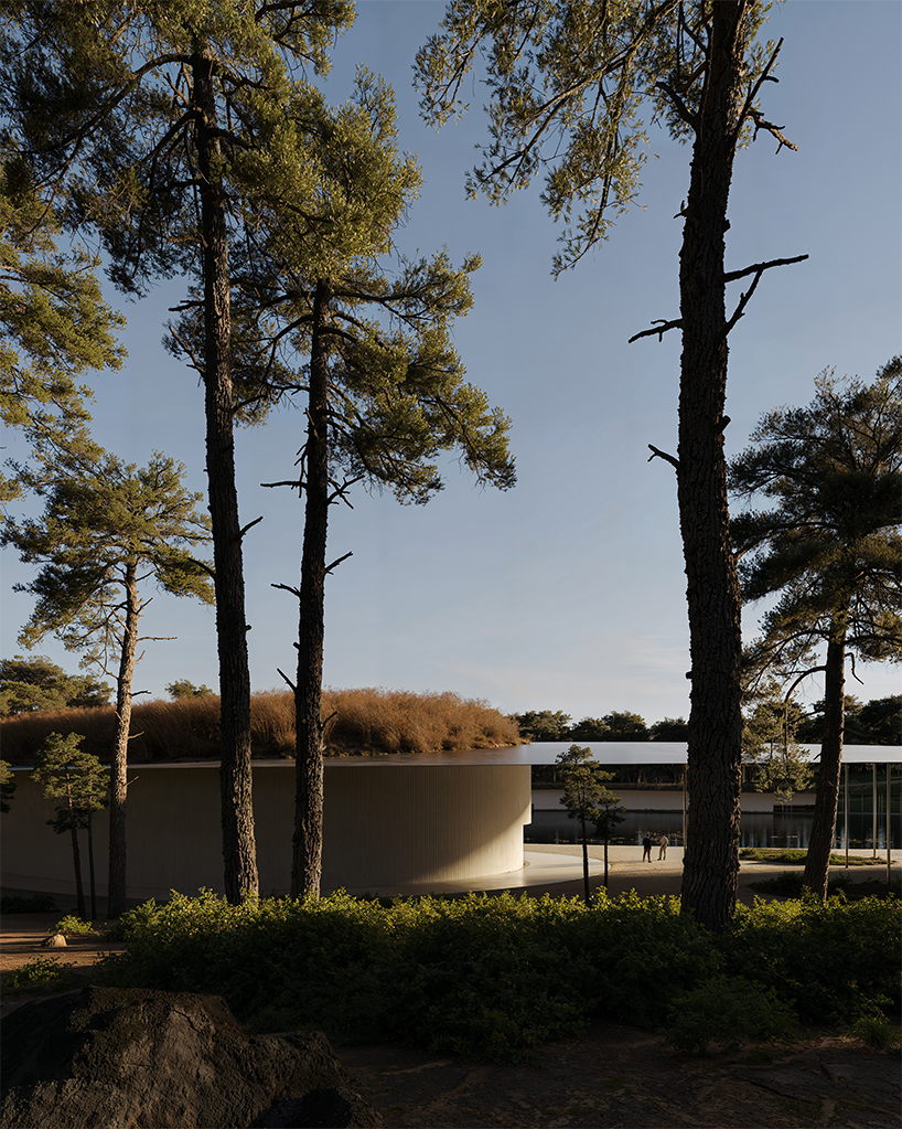 curving along lagoa de pataias, this sculptural museum proposal follows portugal's lakeshore - 3